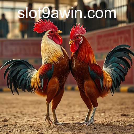 Exploring the World of Online Sabong: A Deep Dive into 9awin